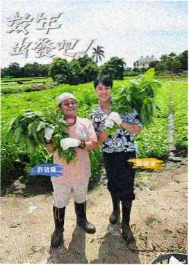 专题图鉴缩略：短剧收尾方式统计